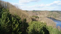DSC00065.jpg