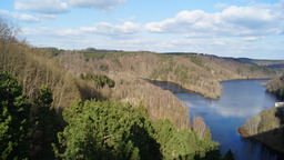 DSC00066.jpg