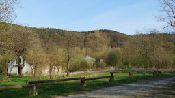 DSC00081.jpg