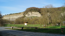 DSC00084.jpg