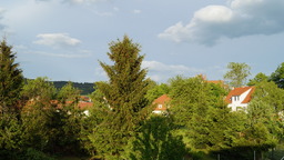 DSC00167.jpg