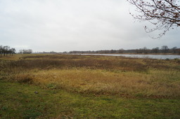 DSC00615.jpg