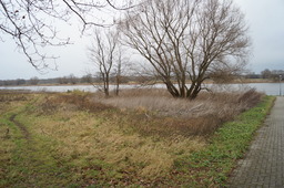 DSC00630.jpg