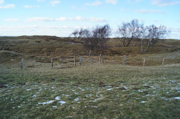 DSC01452.jpg