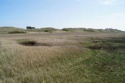 DSC01756.jpg