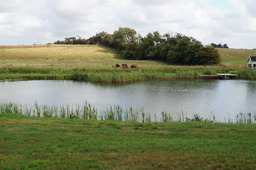 Landschaft 3