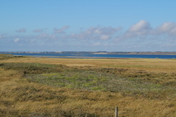 DSC01959.jpg