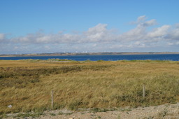 DSC01961.jpg