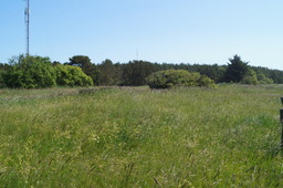 DSC02332.jpg