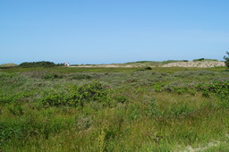 DSC02335.jpg