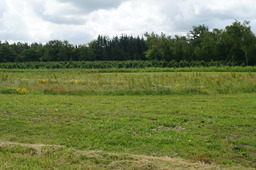 DSC02479.jpg