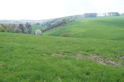 DSC02761.jpg