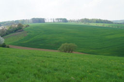 DSC02764.jpg