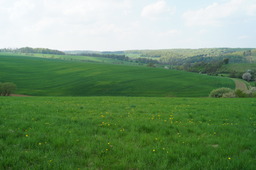 DSC02765.jpg