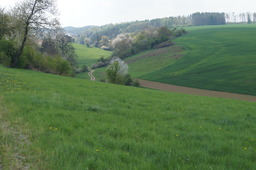 DSC02766.jpg