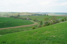 DSC02769.jpg