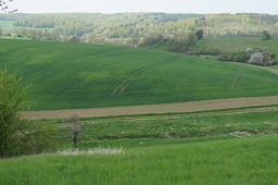 DSC02771.jpg