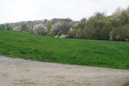 DSC02777.jpg