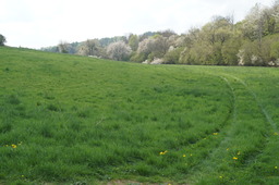 DSC02778.jpg