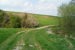 DSC02779.jpg
