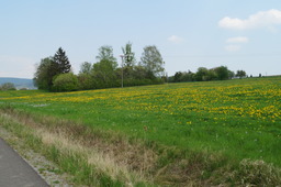 DSC02785.jpg