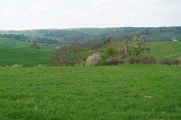 DSC02786.jpg