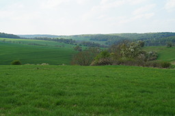 DSC02789.jpg