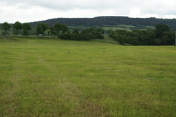 DSC02824.jpg