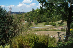 DSC02846.jpg