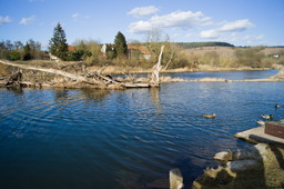 DSC04258.jpg