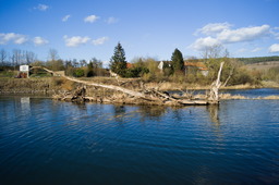 DSC04261.jpg