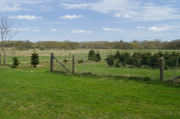 DSC05253.jpg