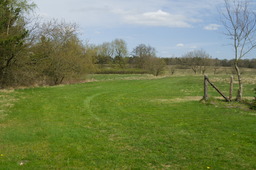 DSC05256.jpg