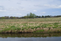 DSC05262.jpg