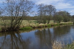 DSC05263.jpg