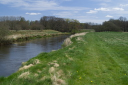 DSC05264.jpg