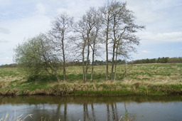 DSC05267.jpg