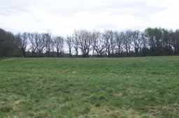 DSC05270.jpg