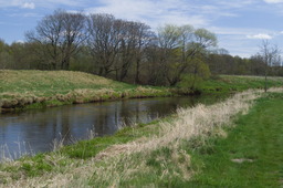 DSC05273.jpg