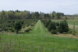 DSC05284.jpg