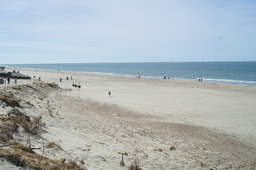 DSC05337.jpg