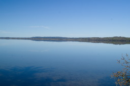 DSC05338.jpg