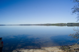 DSC05339.jpg