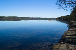 DSC05341.jpg