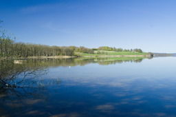 DSC05343.jpg