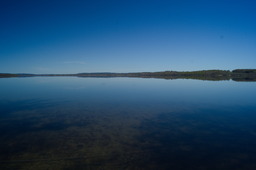 DSC05345.jpg
