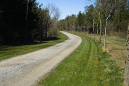 DSC05358.jpg