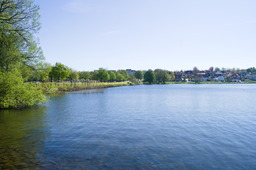 DSC05431.jpg
