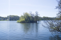 DSC05432.jpg