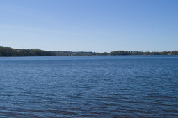 DSC05436.jpg